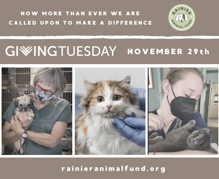 Rainier Animal Fund GivingTuesday