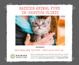 RAF In-Service Clinic 2023