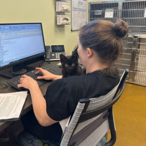 Bagheera's Fierce Pet Fund