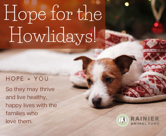 Hope for the Howlidays