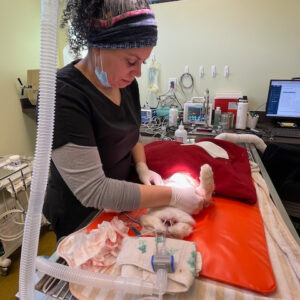 Rainier Animal Fund Success Stories 