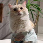 2024-01-13_puddin_success_story_raf