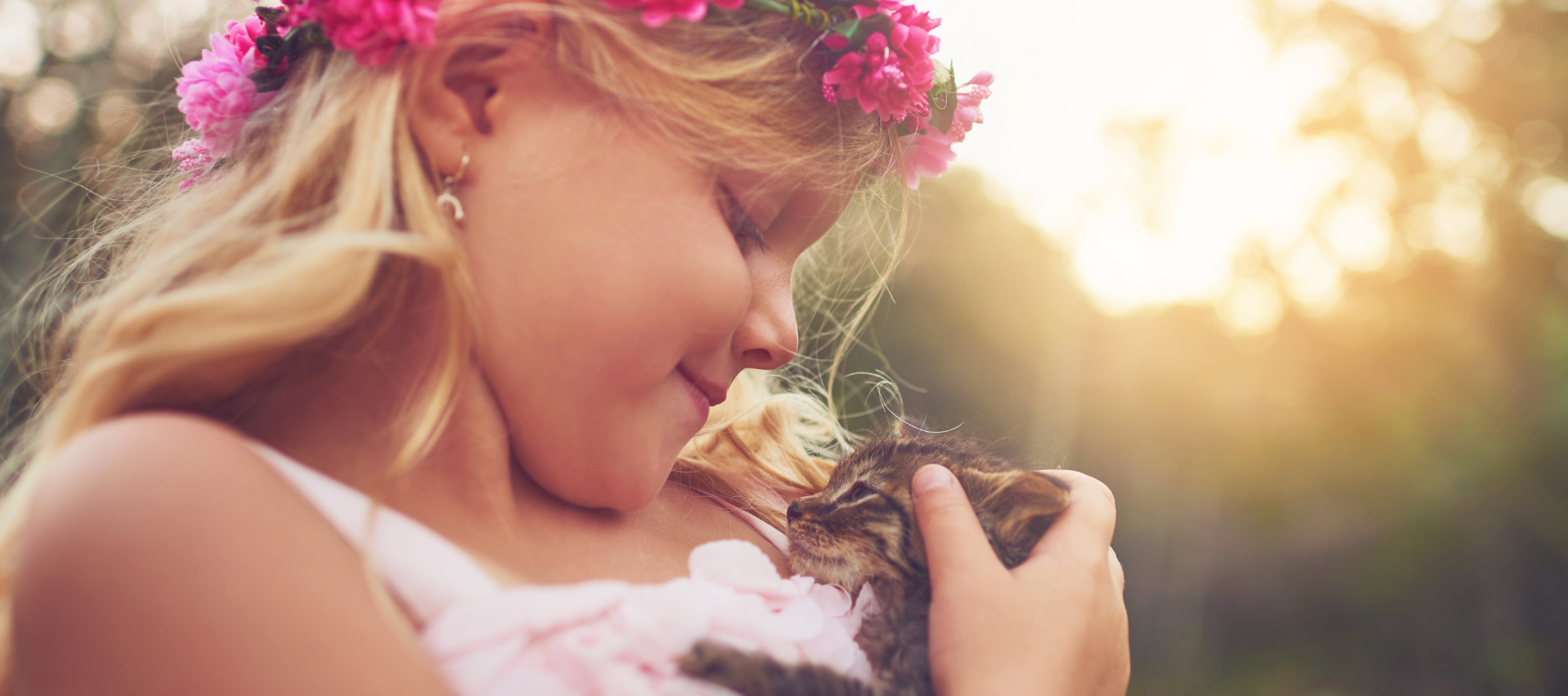 We've helped so many pets and we're proud to share their stories of healing and hope.