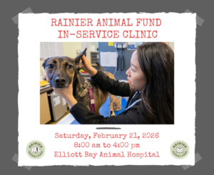 RAF In-Service Clinic 2026